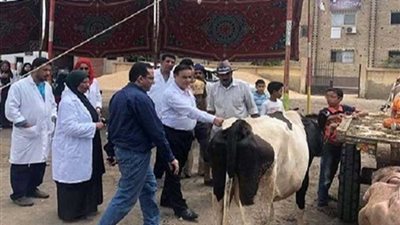 قوافل بيطرية مجانية بالدقهلية