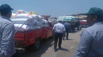 توريد 164 ألف طن قمح لشون وصوامع البحيرة