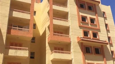 شركات المقاولات تعيد أعمال التشطيب بمشروع الإسكان الاجتماعى في جمصة (صور)