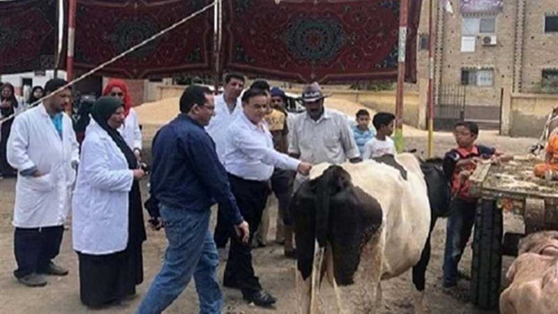 قوافل بيطرية مجانية