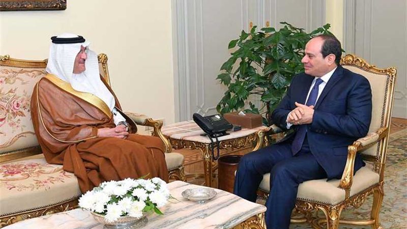 السيسى يؤكد تضامن