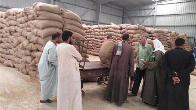 متابعة مستمرة لتوريد