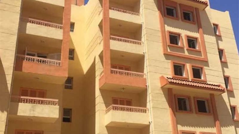 شركات المقاولات تعيد