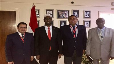 مساعد وزير الخارجية للشؤون الأفريقية يستقبل وزير الدولة الصومالي