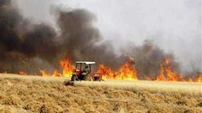 الحرائق تضرب محاصيل العراق وتهدد العراقيين في قوتهم