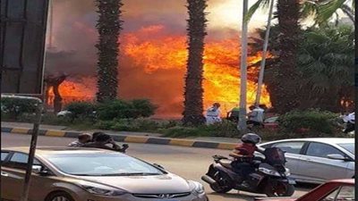 بالصور.. الحماية المدنية تدفع بـ 8سيارات إطفاء لإخماد حريق أشجار فى الهرم