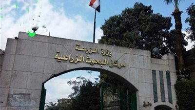 توصيات فنية للمزارعين للتعامل مع ارتفاع درجات الحرارة