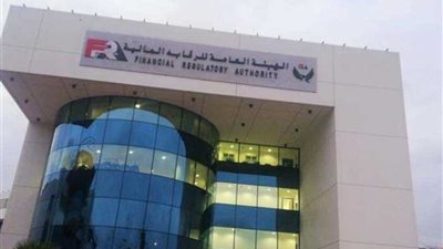 الرقابة المالية تضاعف التمويل للمشروعات متناهية الصغر لـ 200 ألف جنيه