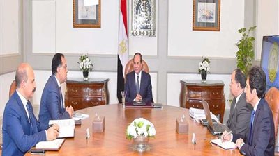 السيسي يستعرض مكافحة التهرب الضريبي وآليات التحصيل الإلكتروني