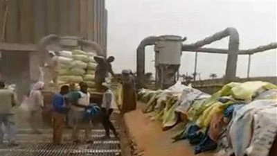 استقبال الأقماح بالأجولة البلاستيكية والجوت بمطاحن مصر الوسطى