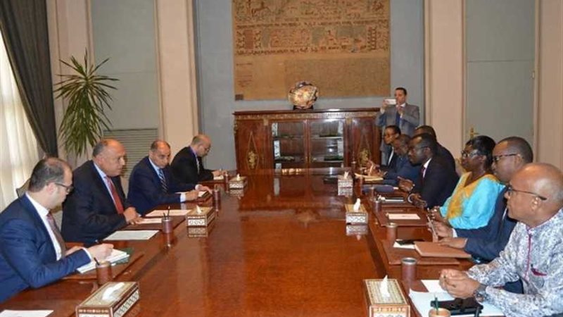 شكري يستقبل وفد مفوضية