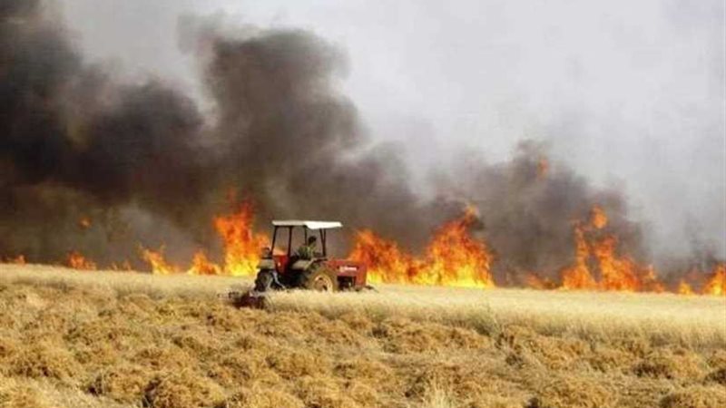 الحرائق تضرب محاصيل