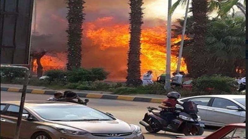 الصحة: حريق أشجار