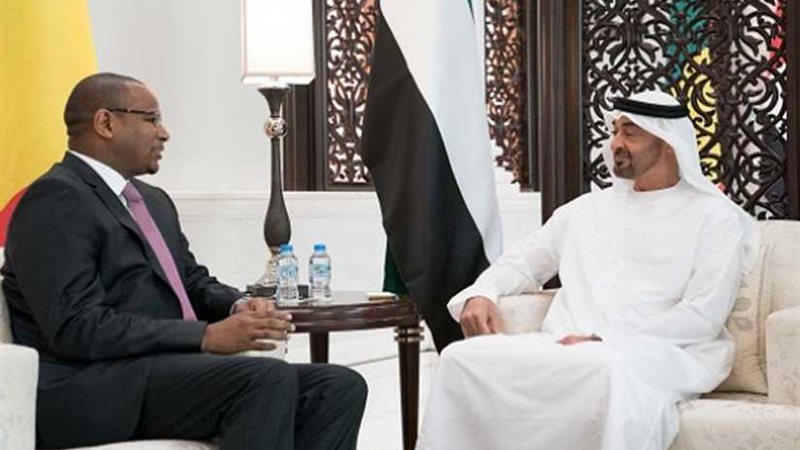 وزير الخارجية الإماراتي