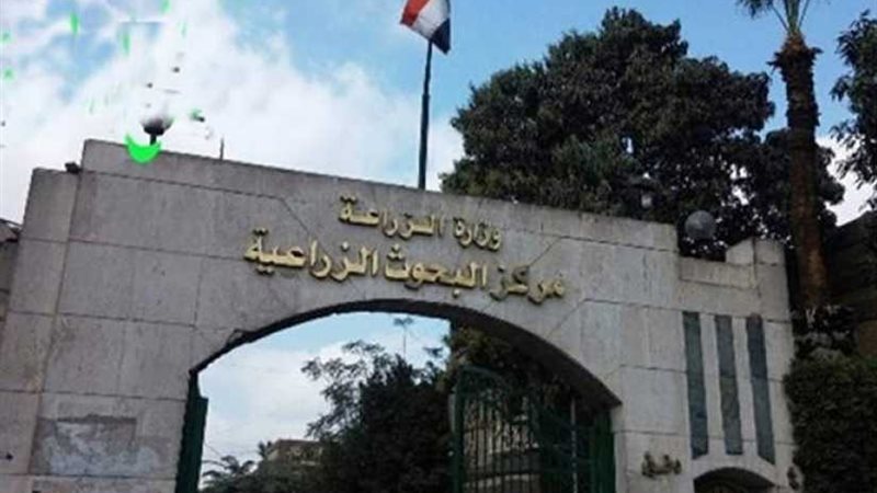 توصيات فنية للمزارعين