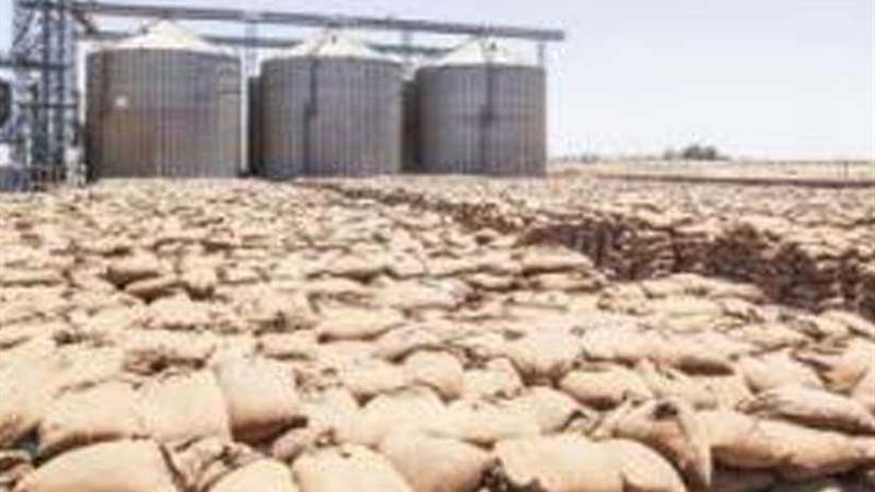 توريد 88 ألف طن قمح