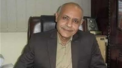 13 مليون جنيه تكلفة مشروعات جديدة بمركز بلاط في الوادي الجديد