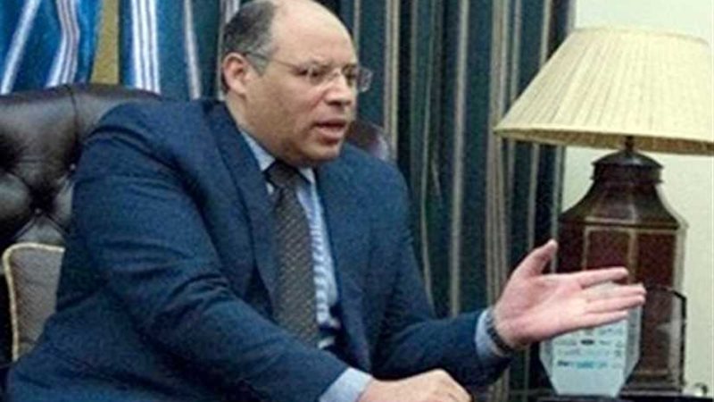 السفير المصري في