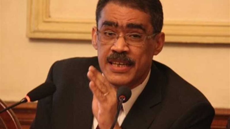 ضياء رشوان: الحكومة