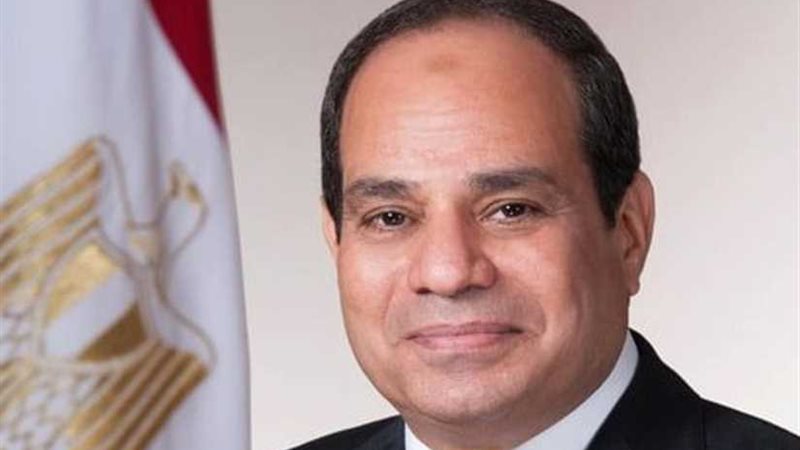 الرئيس السيسي يتفقد