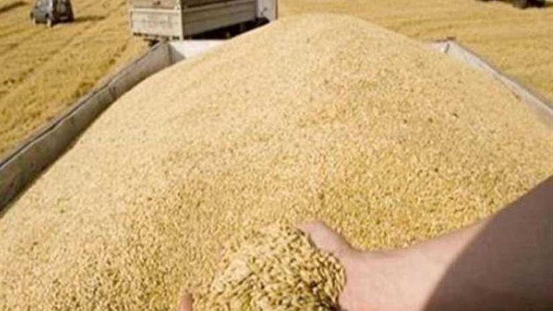 توريد 120 ألفًا و410