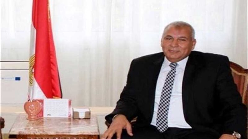 محافط الوادي الجديد: