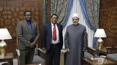 الإمام الأكبر: الأزهر حريص على تعزيز التعاون مع دول أفريقيا