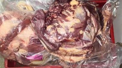 ضبط 379 كيلو لحوم مبردة فاسدة داخل مول شهير بالمنصورة