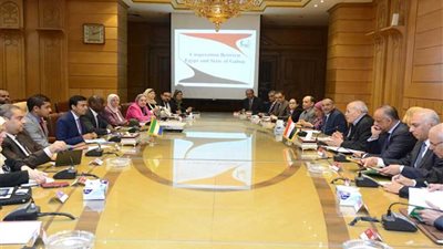 تعاون مصري-جابوني في مجالات التصنيع المختلفة