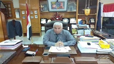 تعليم البحيرة: نسبة الأداء الإلكتروني في 