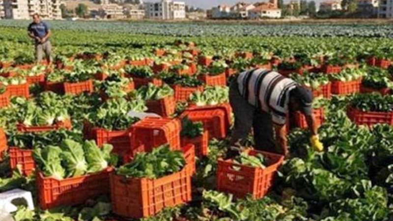 ارتفاع الصادرات الزراعية