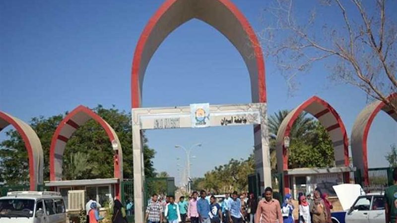 جامعة أسوان: البنية