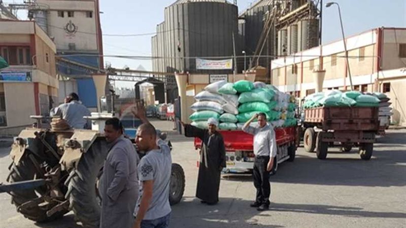 توريد 225 ألف طن