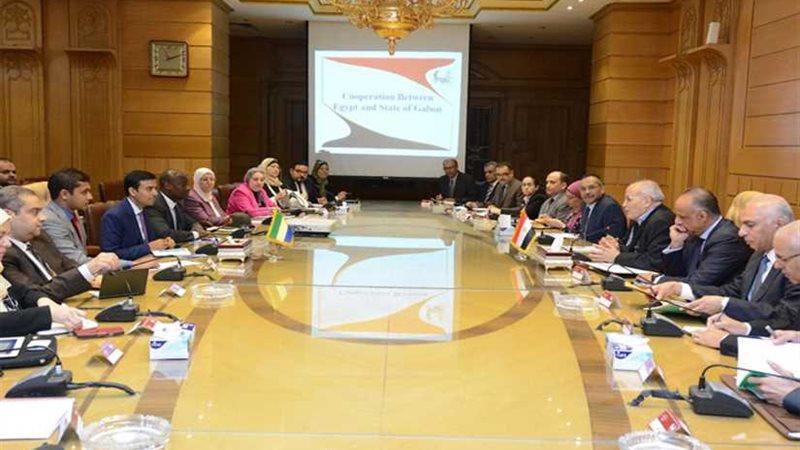 تعاون مصري-جابوني