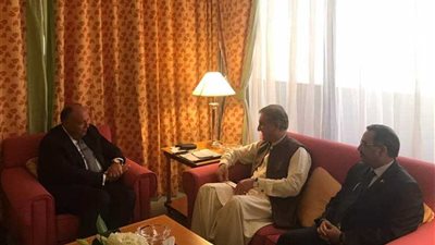 وزير الخارجية يلتقي نظيره الباكستاني لبحث التعاون الثنائى بين البلدين