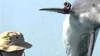 الجيش الأمريكي يختبر تجنيد الأسماك كجواسيس تحت الماء