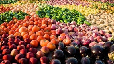 الزراعة: ارتفاع صادرات مصر الزراعية إلى أكثر من 3.5 ملايين طن