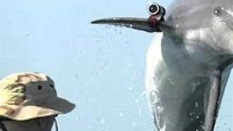 الجيش الأمريكي يختبر