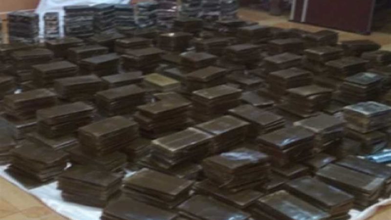 ضبط 450 طربة حشيش
