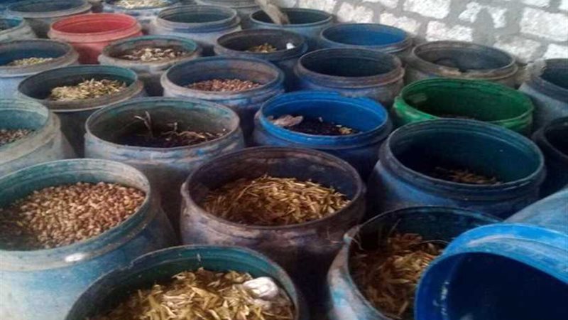 ضبط 4 أطنان مخلل