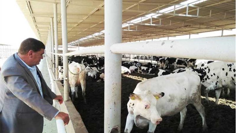 وفد مشروع عاداه بكفر