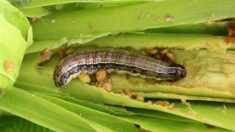 تعرف على كيفية التعامل