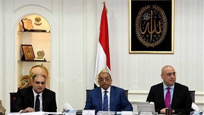 وزيرا الإسكان والتنمية المحلية يناقشان مشروع اللائحة التنفيذية لقانون التصالح في بعض مخالفات البناء