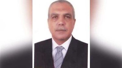 مدير بيطري الجيزة: نسعى لإنشاء مجزر آلي لاستيعاب المذبوحات