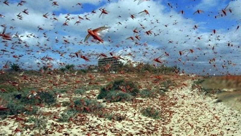 الحكومة تنفي التقاعس