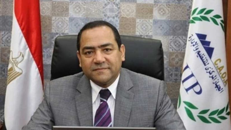 التنظيم والإدارة