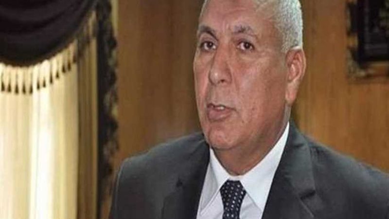 محافظ الوادى الجديد