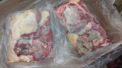 ضبط لحوم غير صالحة للاستهلاك الآدمي بغرب الإسكندرية