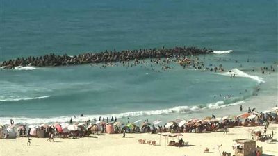 محافظة الإسكندرية تحذر من النزول إلى شاطئ النخيل لخطورته على أرواح المواطنين