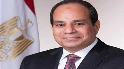 سفير مصر بالجزائر ينقل تهنئة السيسي بالعيد للجالية المصرية